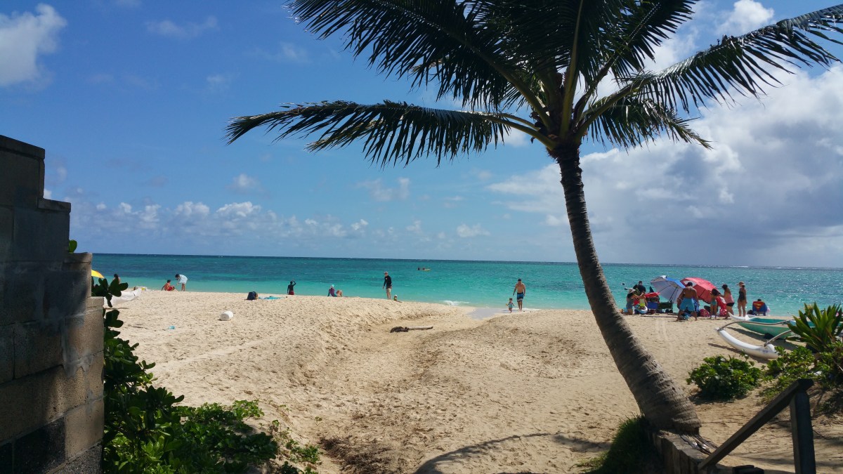 2016-08-27 10.21.32.jpg